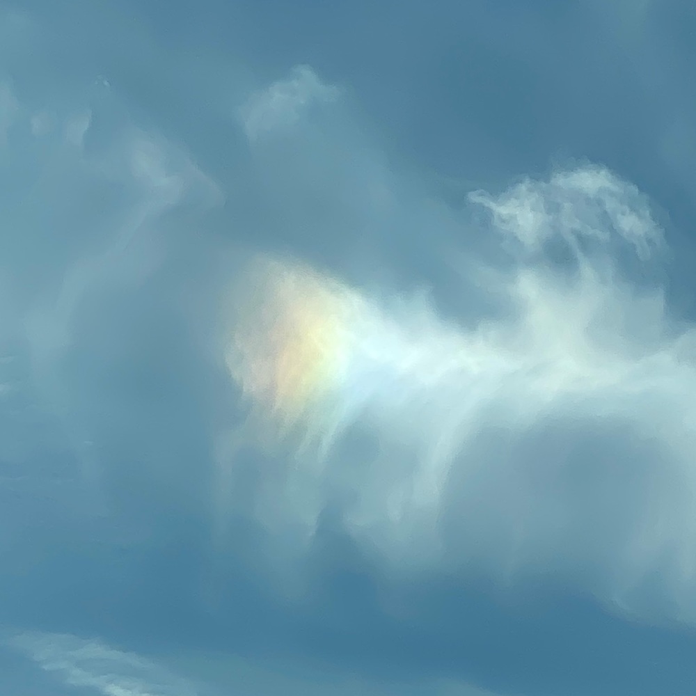 Meet your Posher, Lillian